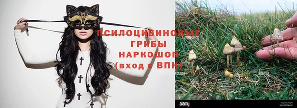 гидра Алзамай