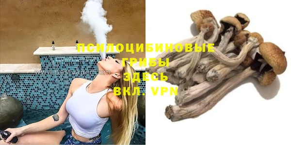 гидра Алзамай