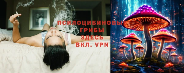 дурь Алексин