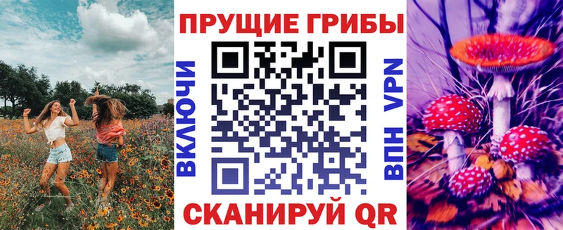 Галлюциногенные грибы Cubensis  сколько стоит  Соликамск 