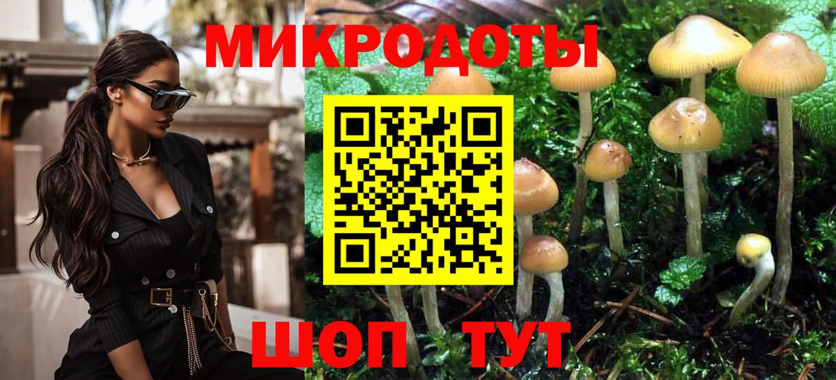 Псилоцибиновые грибы ЛСД  Вход с VPN  Соликамск  Псилоцибиновые грибы Psilocybe 